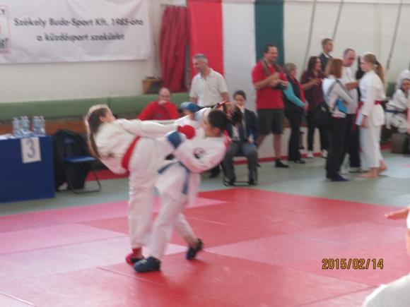 2015.02.14-15. Wado OB 1. forduló