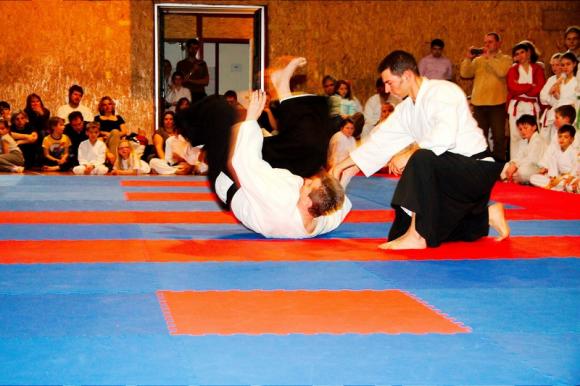 2013.03.08 Aikido bemutató