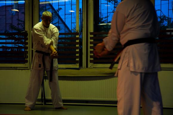 Shihan Rebicek Gerd edzései