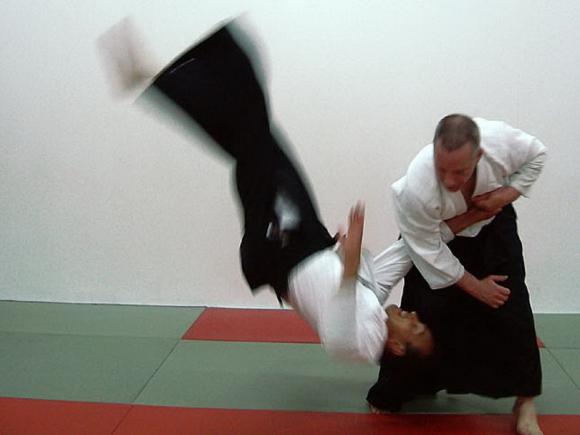 aikido-bemutato.jpg aikido-bemutato.jpg